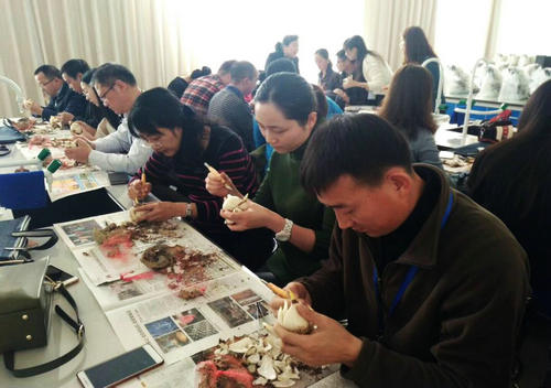 南京科技馆辅导员参加2017年中科协科学教育项目交流活动