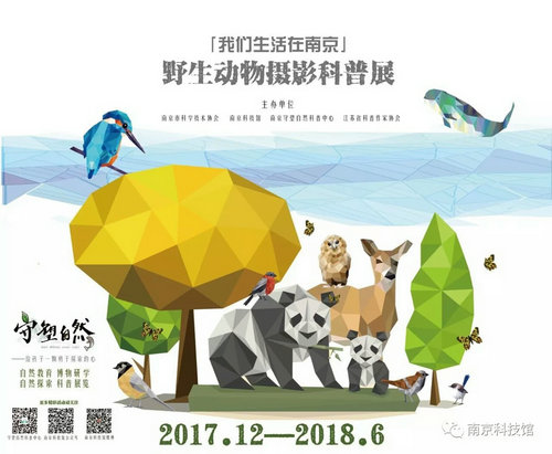 野生动物摄影科普展“我们生活在南京”即将在南京科技馆开展