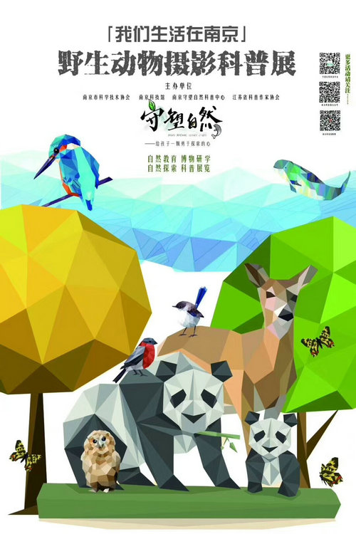 野生动物摄影科普展“我们生活在南京”即将在南京科技馆开展