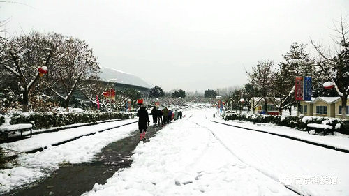 瑞雪兆丰年，劳动展风采——南京科技馆开展扫雪活动