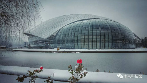 雪中的南京科技馆，雪中的你们