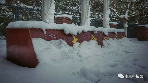 雪中的南京科技馆，雪中的你们