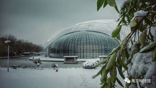 雪中的南京科技馆，雪中的你们