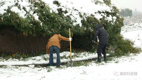 雪中的南京科技馆，雪中的你们