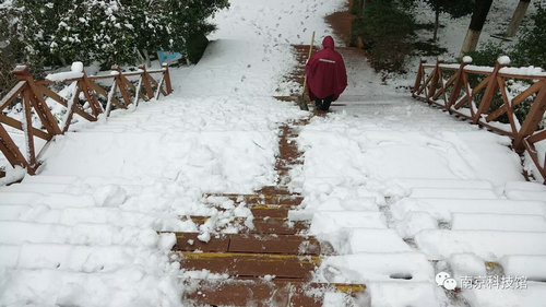 雪中的南京科技馆，雪中的你们