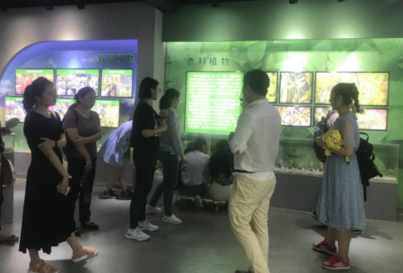 我馆组织参观中山植物园活动