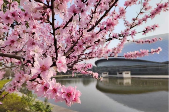 南京科技馆在春天绽放，植物花卉装点美丽园区