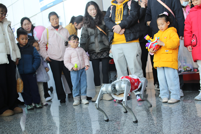 当科学遇上传统：南京科技馆举办亲子嘉年华  融合科普、非遗与公益的冬日暖心盛宴