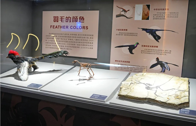 来一场穿越时空科考，南京科技馆“恐龙大复活”特展已于1月30日正式开幕