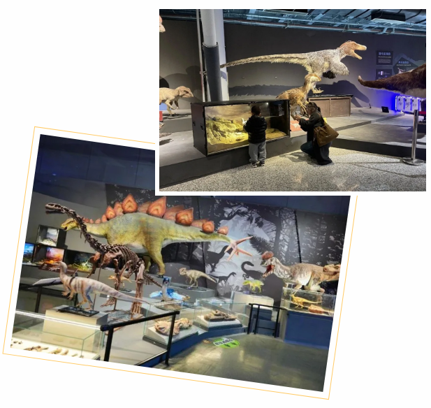 科技赋能年味 创新点亮新春——南京科技馆新春系列活动圆满收官